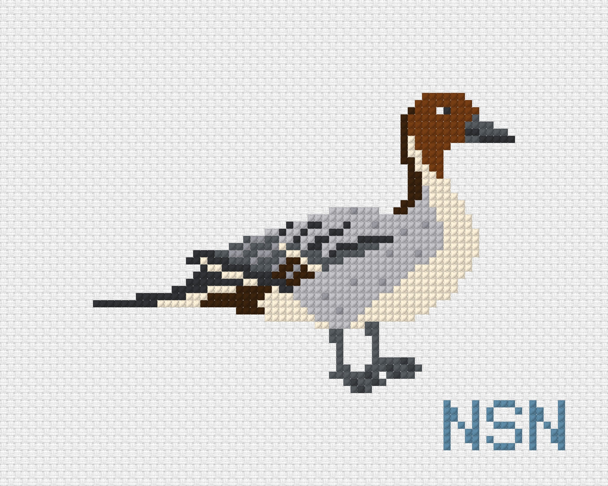 Northern Pintail Duck needlepoint canvas