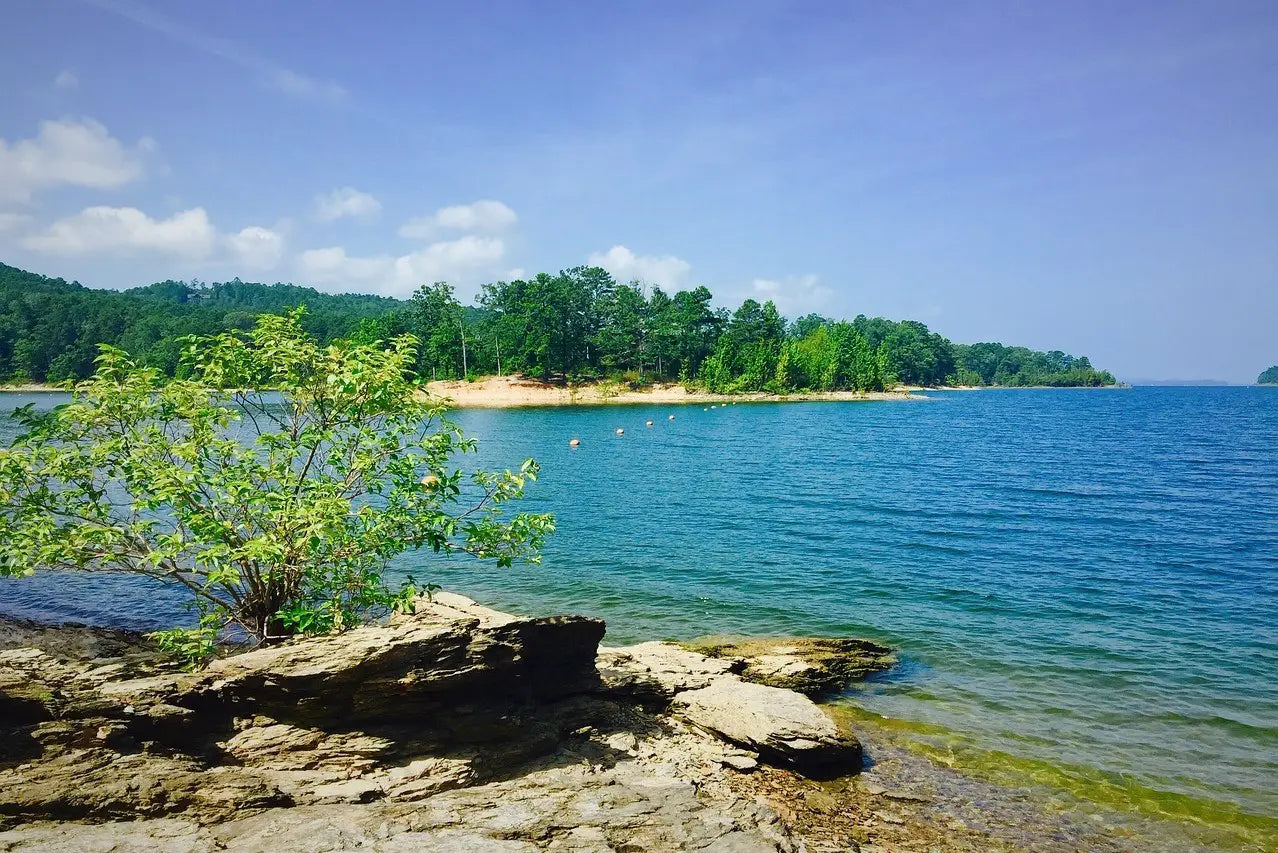 Lake Canvases