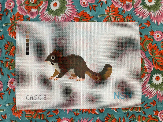 PRESALE: Squirrel
