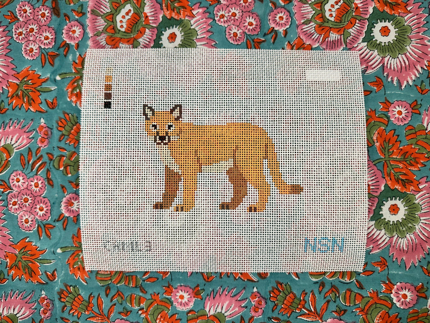 Mountain Lion