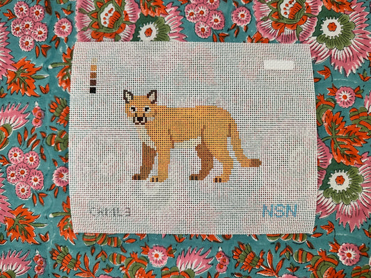 Mountain Lion