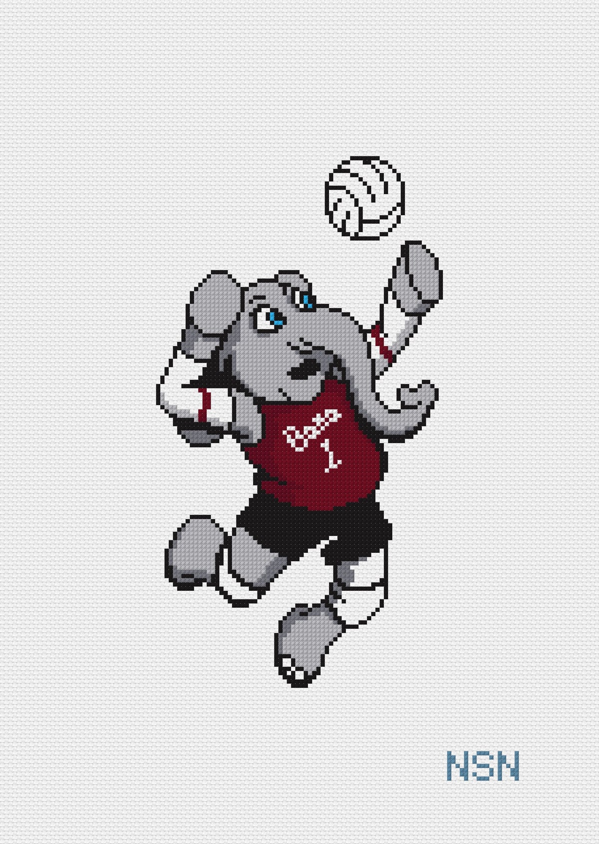 PRESALE: Volleyball Big Al