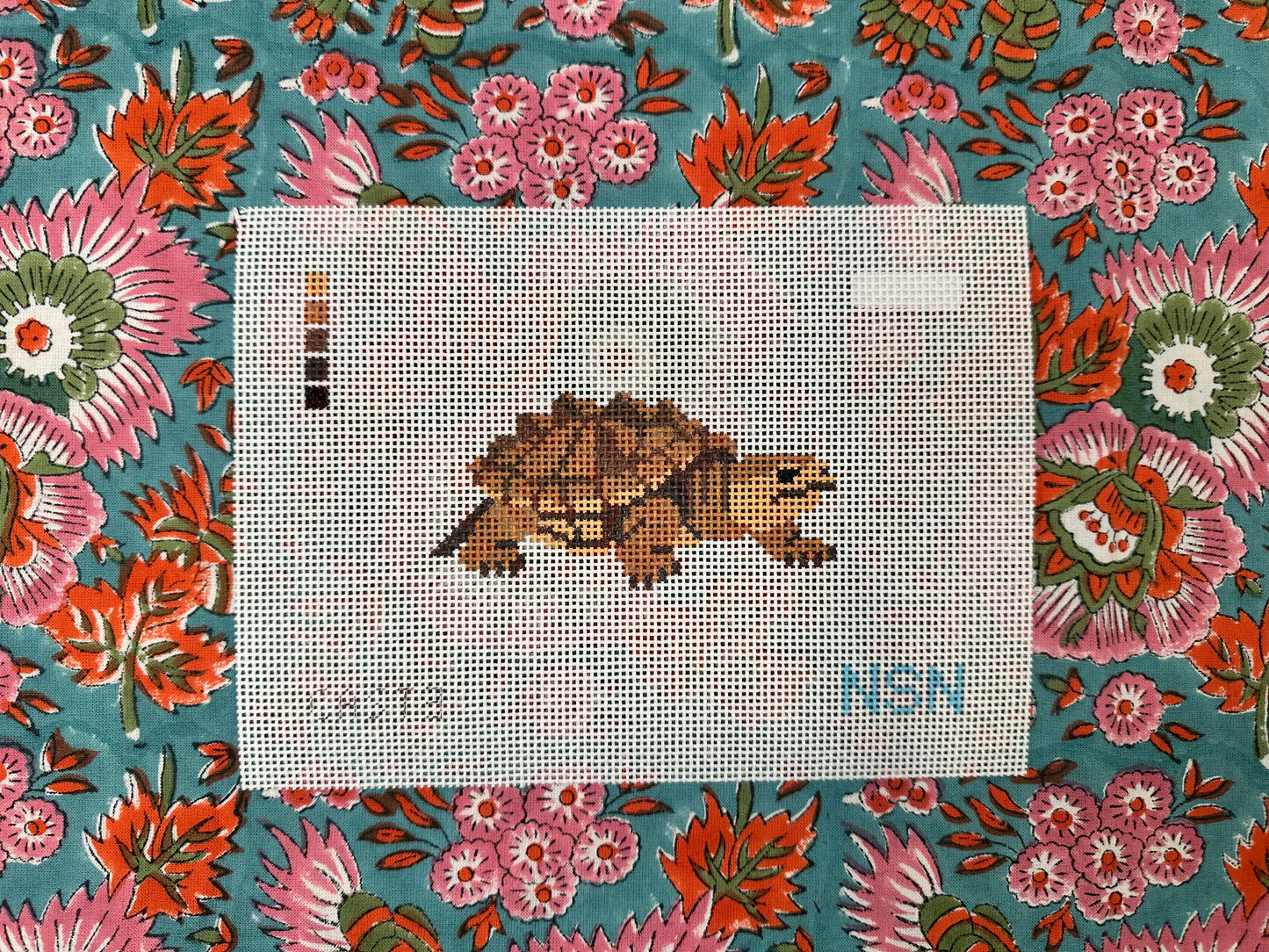 PRESALE: Alligator Snapping Turtle