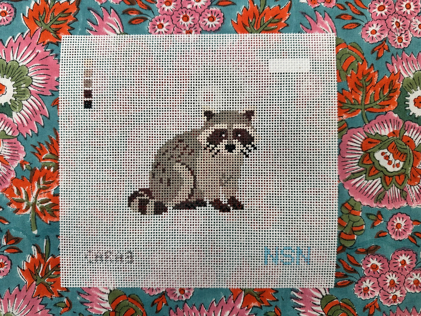 PRESALE: Raccoon