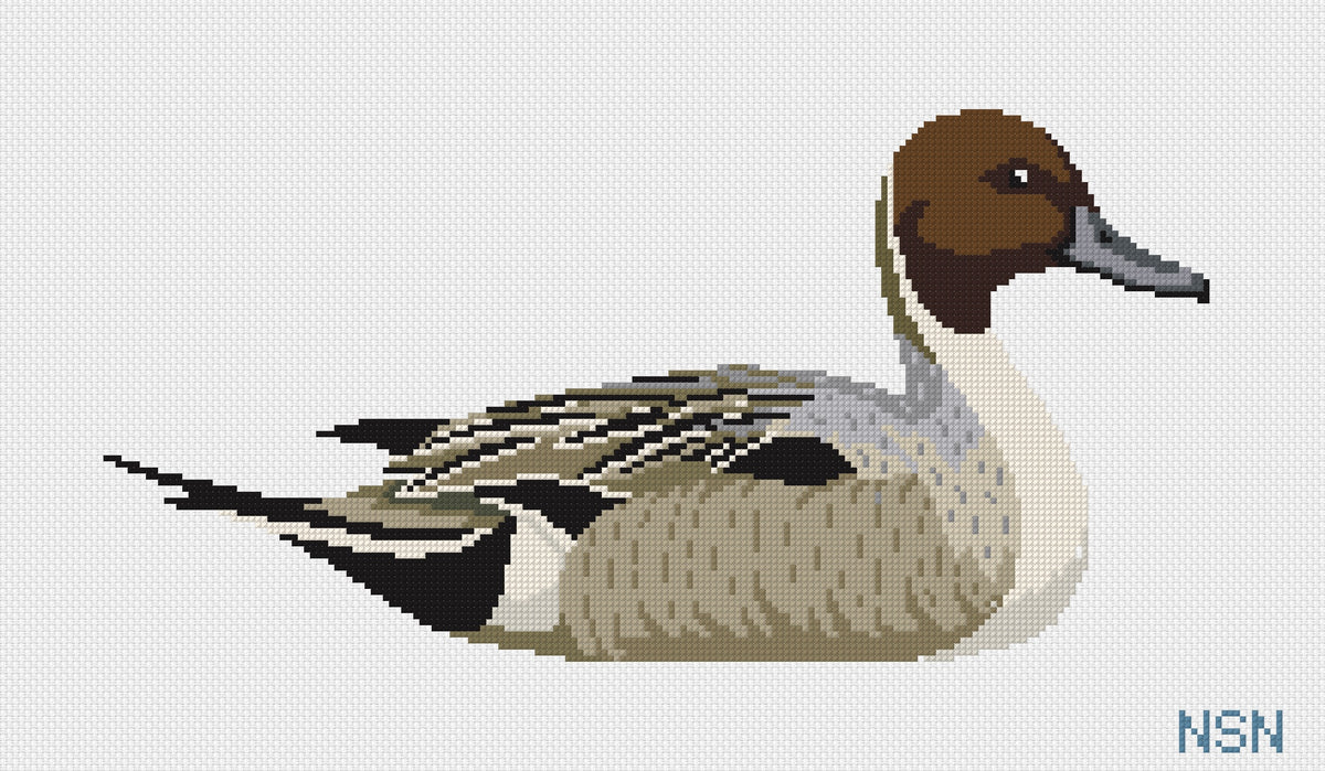Large pintail duck needlepoint canvas